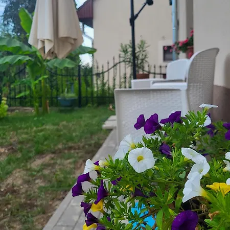 Mi Casa Vendeghaz - Apartments Eger Exterior photo