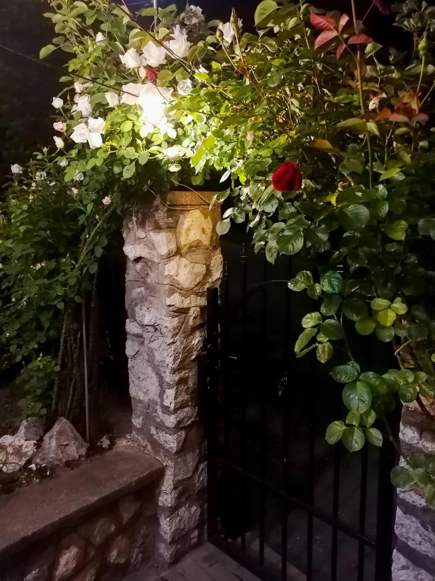 Mi Casa Vendeghaz - * Erlau