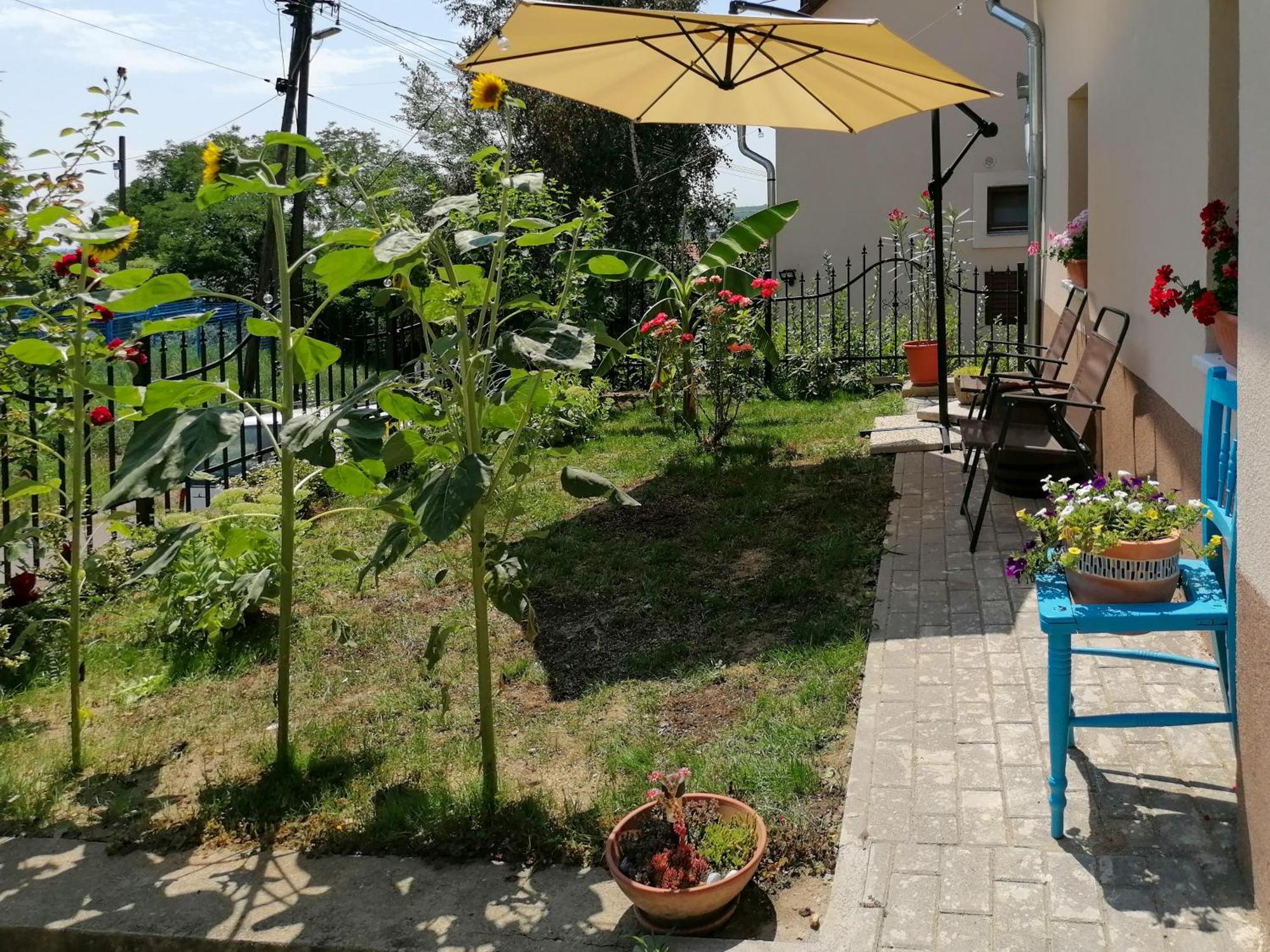 Mi Casa Vendeghaz -