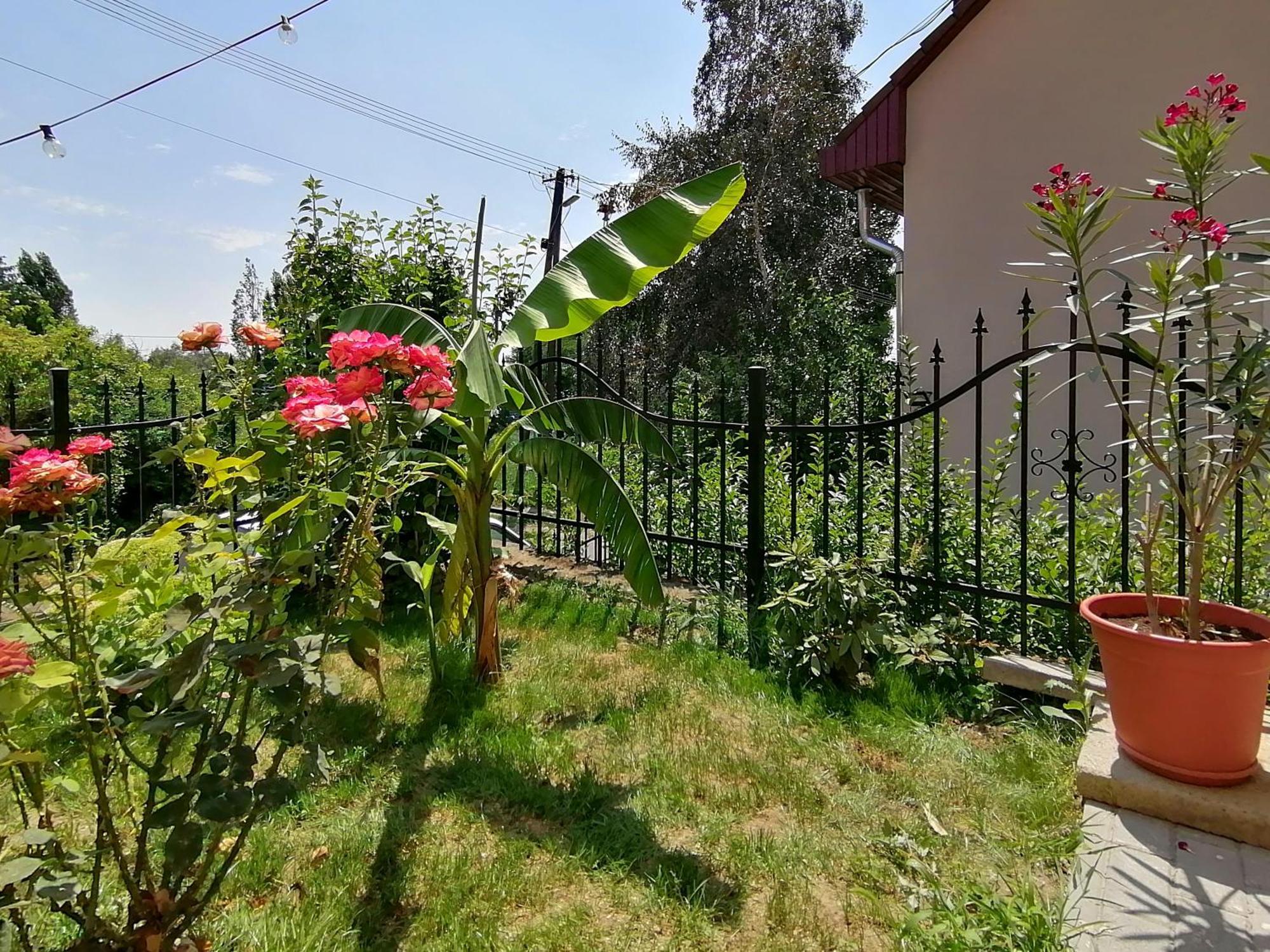 Mi Casa Vendeghaz -