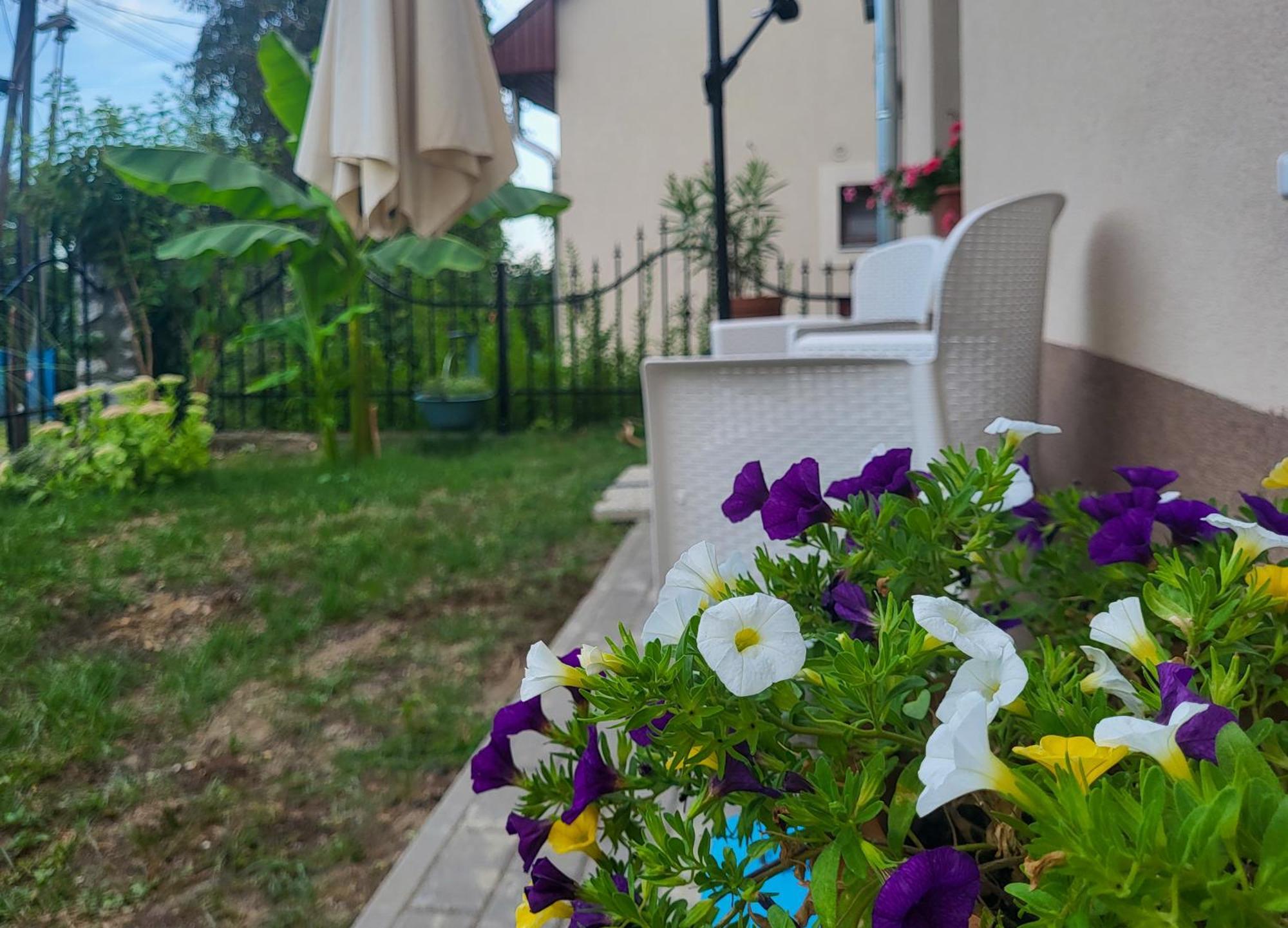 Mi Casa Vendeghaz - * Eger
